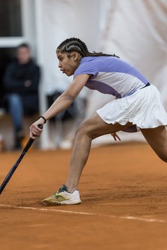 Bild 313 - HL THC von Horn und Hamm - Marienthaler THC : Ergebnis: 5:1